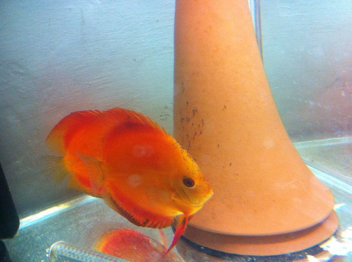 IMG_0939-20151227-132440460