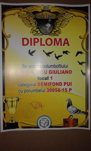 1 DEM PUI - TROFEE SI DIPLOME 2015