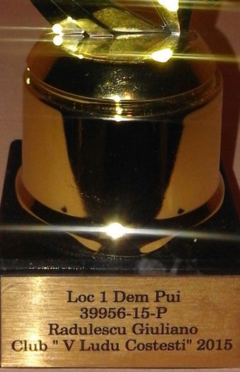 P 1 DEM PUI - TROFEE SI DIPLOME 2015