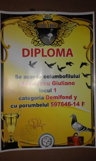 1 DEM TIN - TROFEE SI DIPLOME 2015