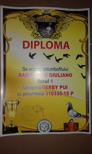 1 DERBY PUI - TROFEE SI DIPLOME 2015