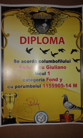 1 FOND TIN - TROFEE SI DIPLOME 2015