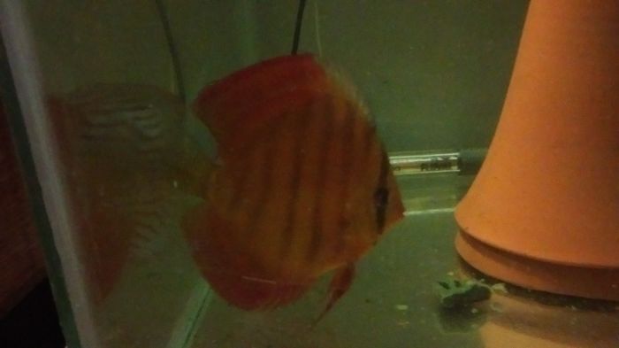 IMAG0413_BURST002_COVER