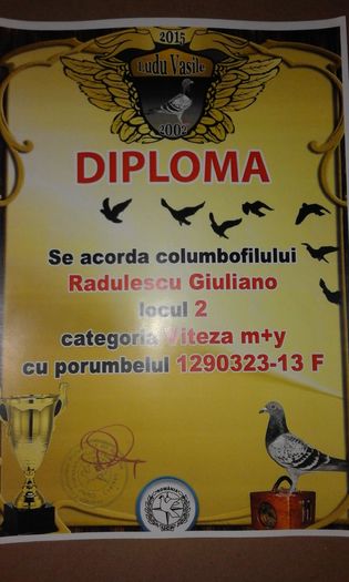 2 VIT - TROFEE SI DIPLOME 2015