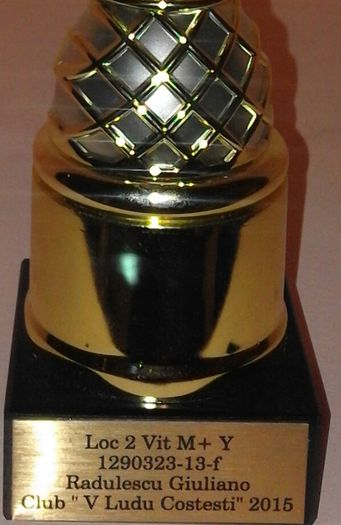P 2 VIT - TROFEE SI DIPLOME 2015