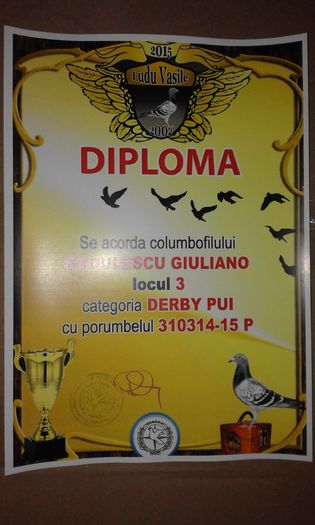 3 DERBY PUI - TROFEE SI DIPLOME 2015