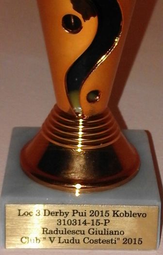 P 3 DERBY PUI - TROFEE SI DIPLOME 2015