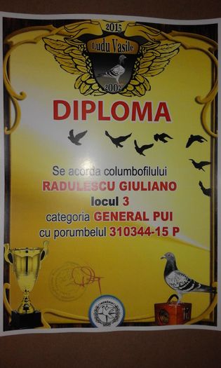 3 GEN PUI - TROFEE SI DIPLOME 2015