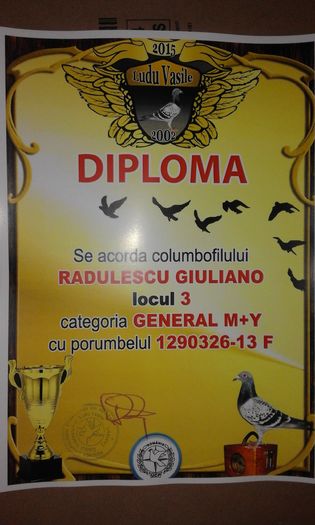 3 GEN - TROFEE SI DIPLOME 2015