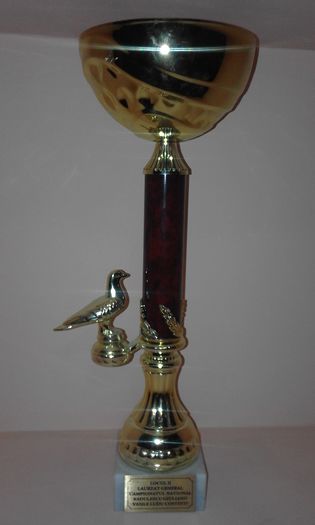 CU loc 2 Nat Laureat general pui 2015