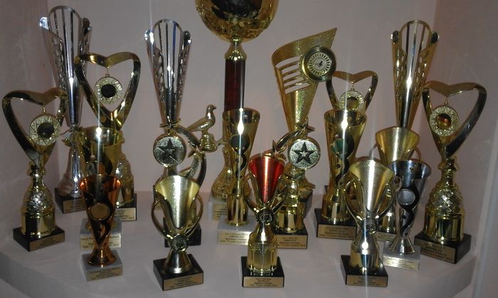 TROFEE 2015 (3) - TROFEE SI DIPLOME 2015