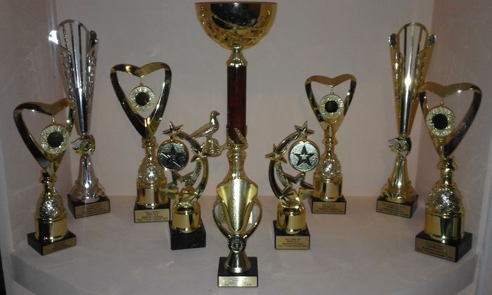 TROFEE 2015 - TROFEE SI DIPLOME 2015