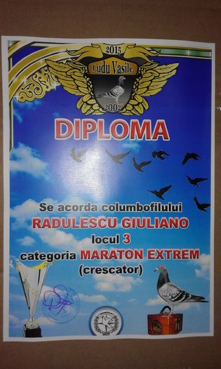 20151229_064623 - TROFEE SI DIPLOME 2015