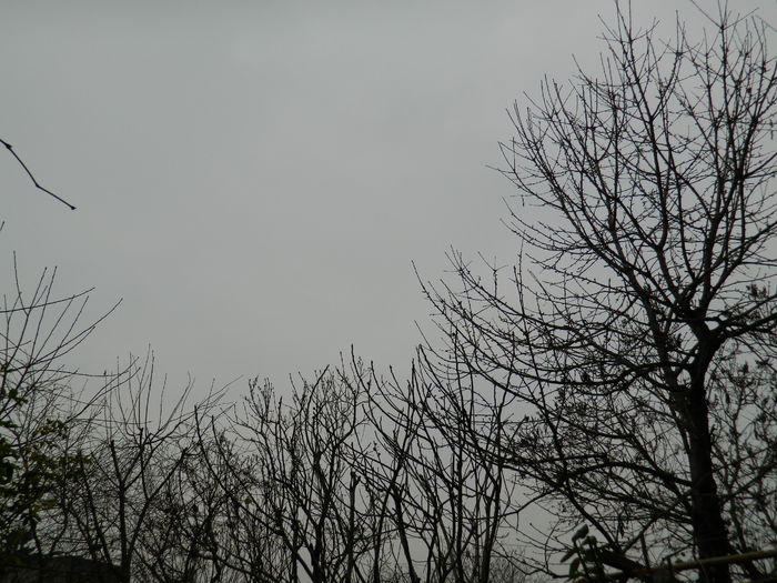 DSCN6020
