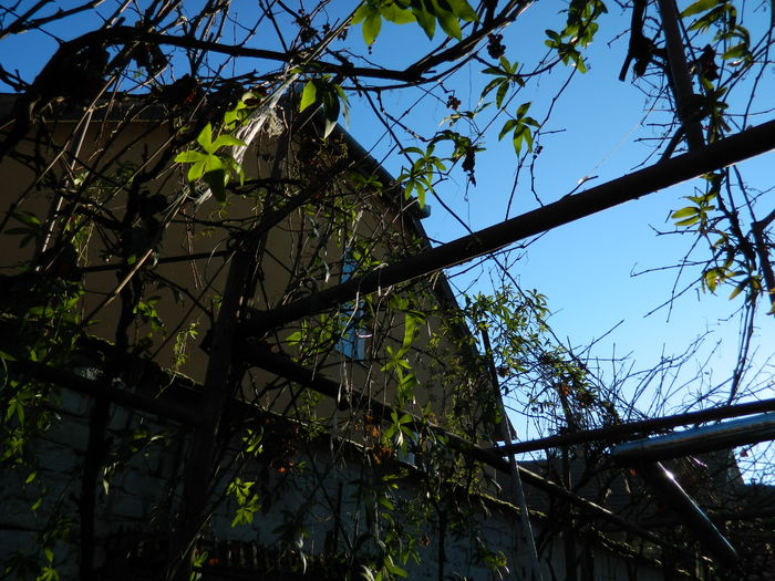 DSCN6034
