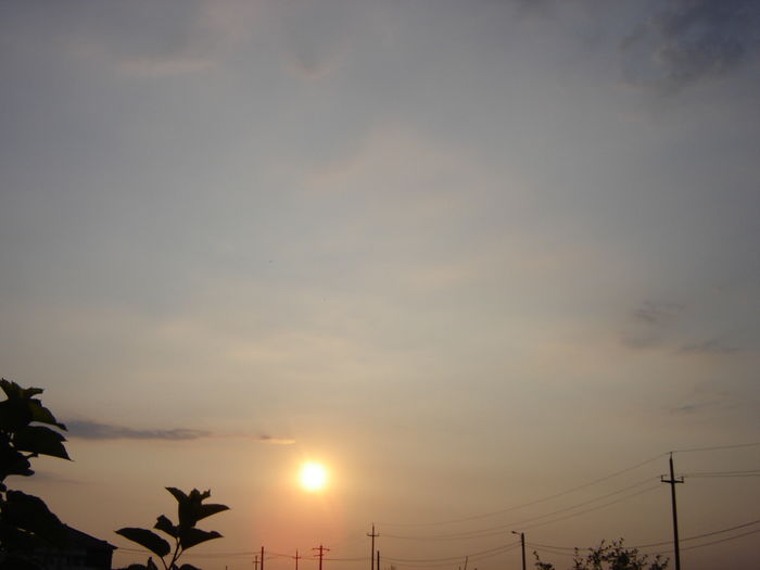 DSC04755 - PRIMA MARE LANSARE - Free Pigie - Great Flight - GoodStart Flying