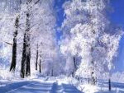 peisaj minunat de iarna - peisaje de vis