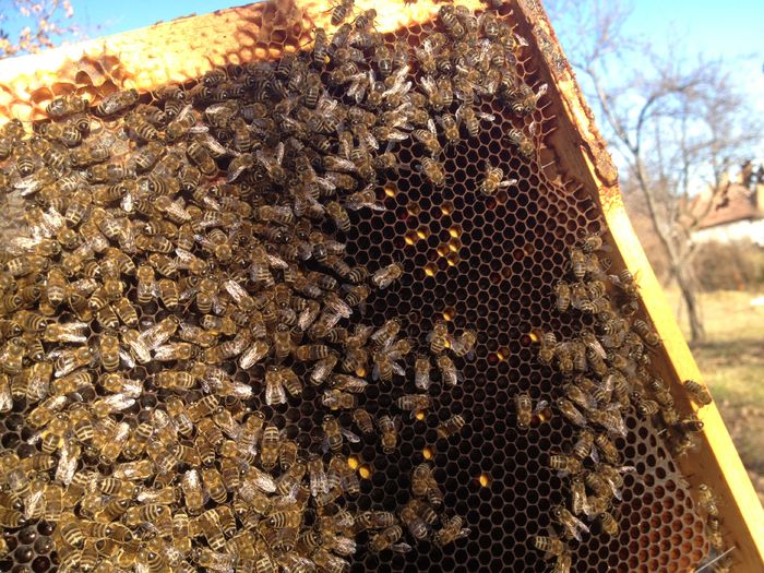 polen alun  27-28 dec