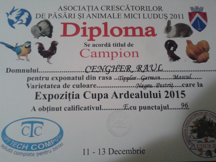 Cupa Ardealului - Ludus 2015 - Campioni in Expozitii Zonale