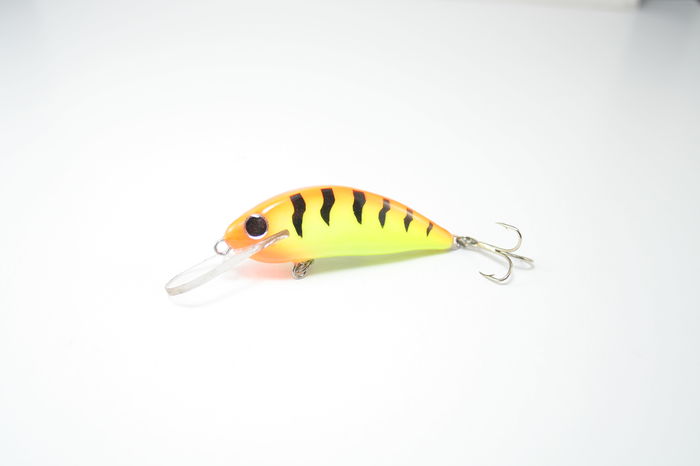 6088 - 6cm - 3 Pentru salau