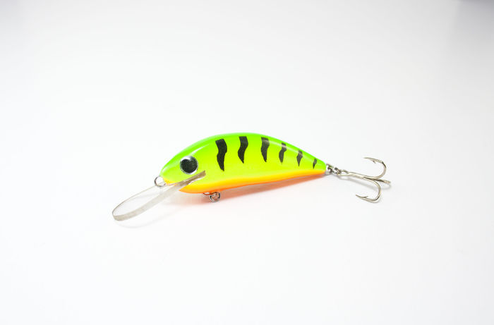 6089 - 6cm - 3 Pentru salau