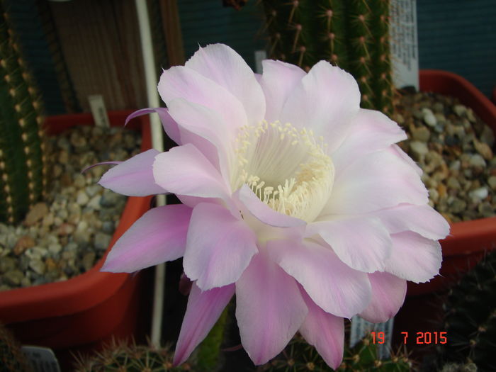 DSC09289