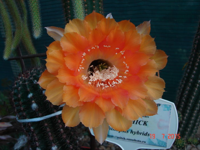 DSC09297