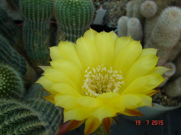 DSC09303