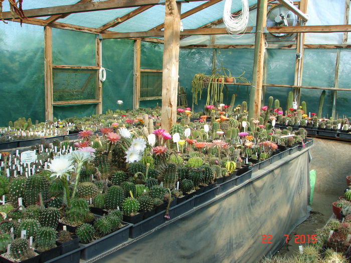 DSC09307