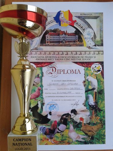 CAMPION NATIONAL Lugoj dec.2015 - A CUPE si DIPLOME