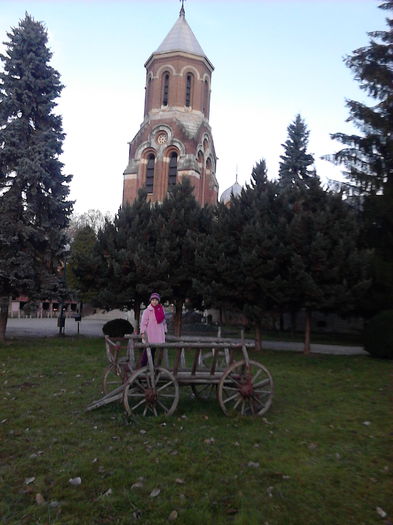 IMG_20151223_162926 - veronica scoala