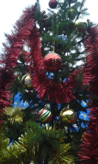20151225_170158 - din  loc  in  loc