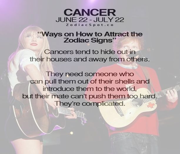 ͡͡ ͡͡ ͡͡ ͡͡ ͡͡  1989: Wildest Dreams ͡͡ ͡͡ ͡͡ ͡͡ ͡͡   11.23.2015