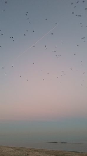 20151227_164659