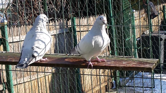 M-2012-2802&M-2012-969