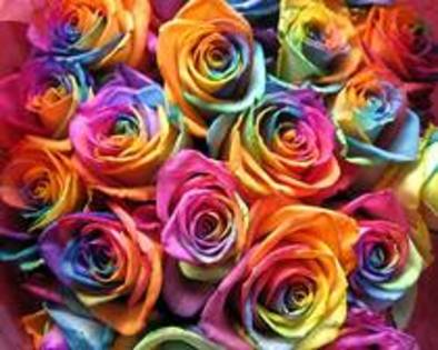 trandafiri multicolori - aaa-cele mai frumoase flori din lume-aaa