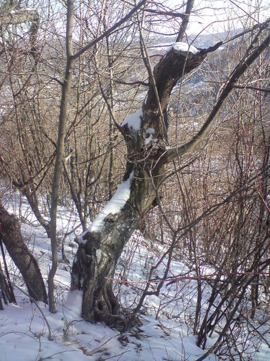 DSC01605