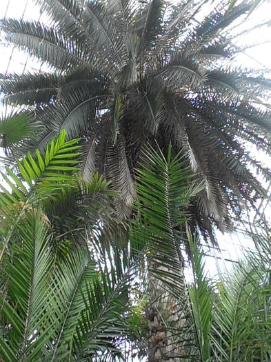 PA040968