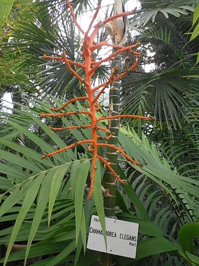 PA040988