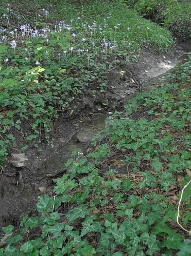 PA041039