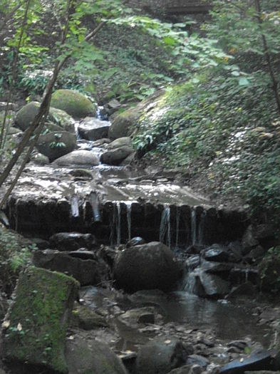 PA041057