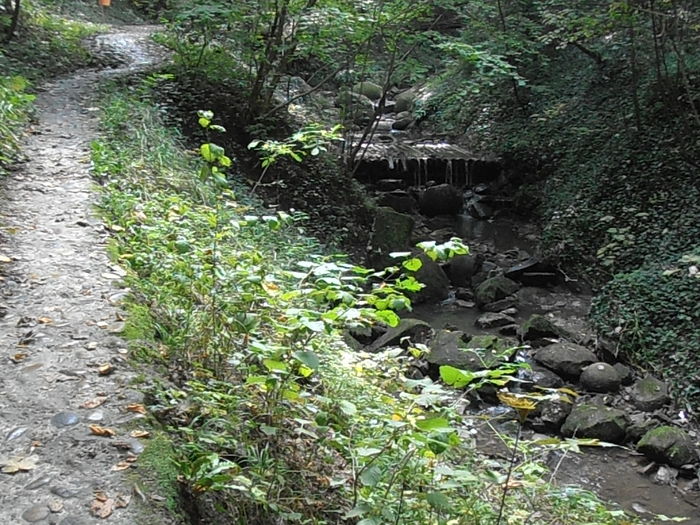 PA041062