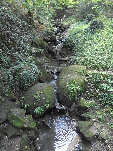 PA041070