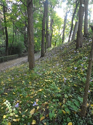 PA041087