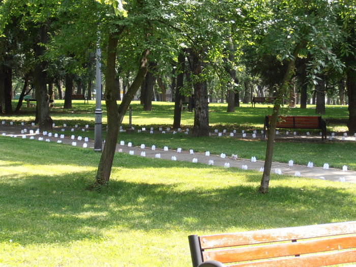 P6150303