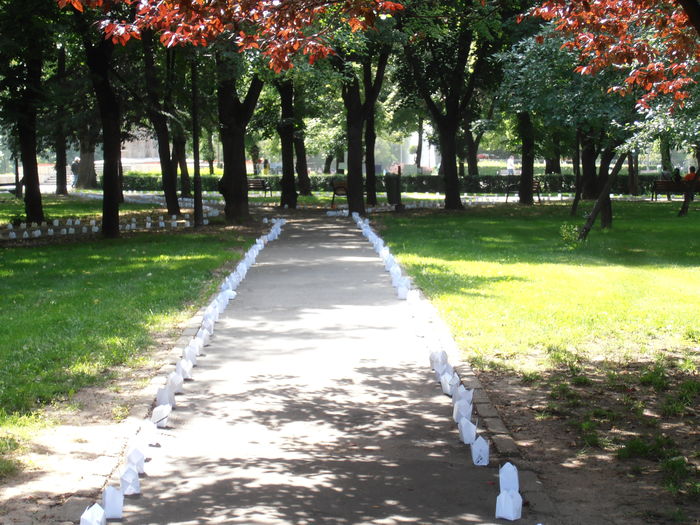 P6150306