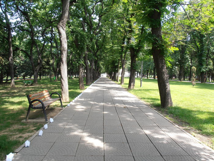 P6150309