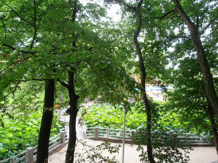 P7270036