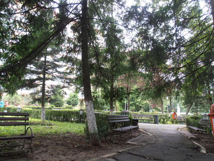 P7270039