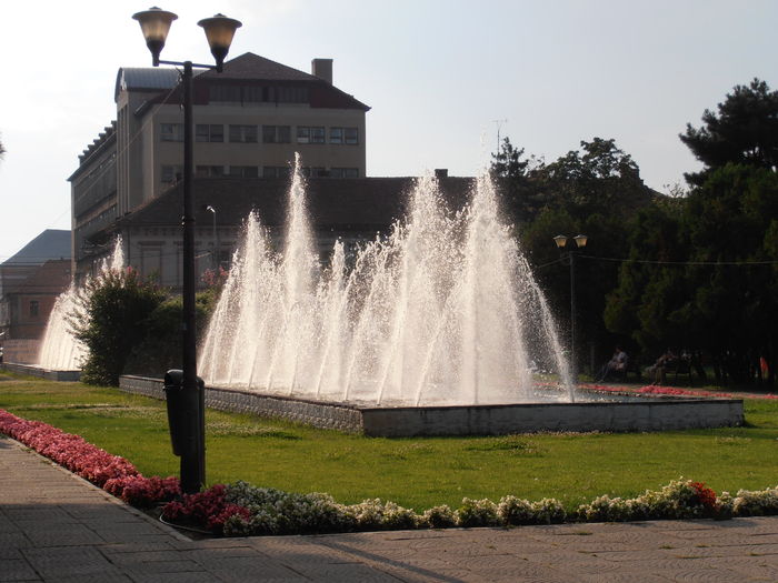 P7270098